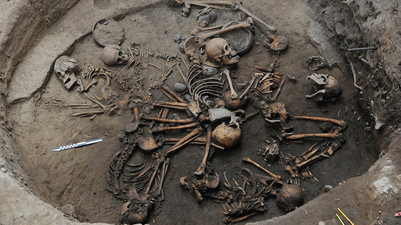 The 10 skeletons were arranged in a spiral pattern, suggesting a ritualistic practice.